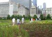 Millennium Park, Chicago, IL