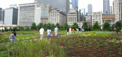 Millennium Park, Chicago, IL