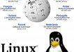 Collaborative crowdsourcing with Wikipedia and Linux