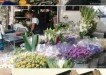 Market in San Gimignano, Italy