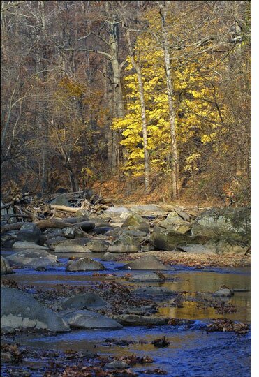 Rock Creek Park, Washington DC