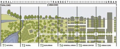 Transect