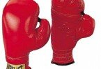 Boxing gloves