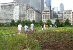 Millennium Park, Chicago, IL